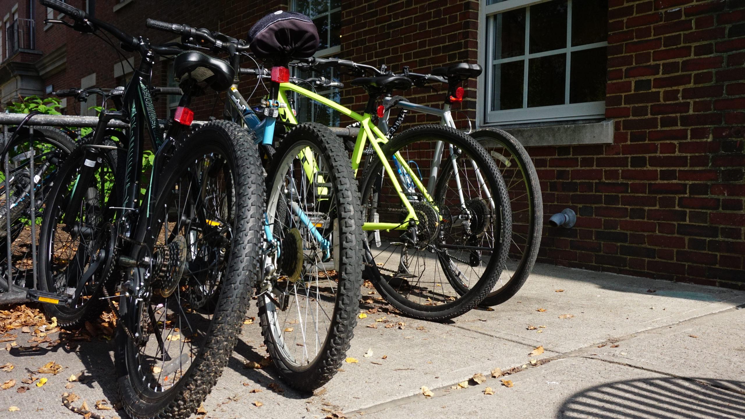 停放在校园自行车架上的自行车